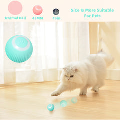 Smart Cat Ball Toys - The Piety Shop