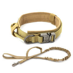 Dog Collar - The Piety Shop