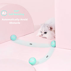 Smart Cat Ball Toys - The Piety Shop